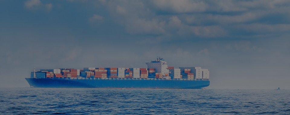 Trinity Logistics